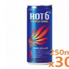 캔)핫식스250ml/롯데음료